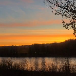 Meet your Posher, Payton